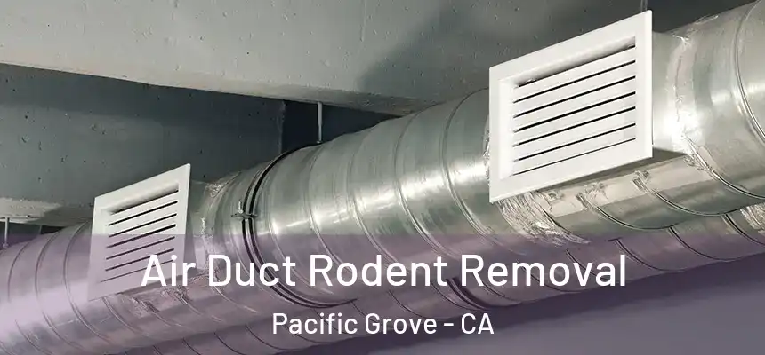  Air Duct Rodent Removal Pacific Grove - CA