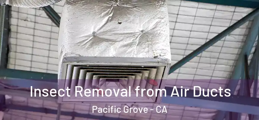  Insect Removal from Air Ducts Pacific Grove - CA