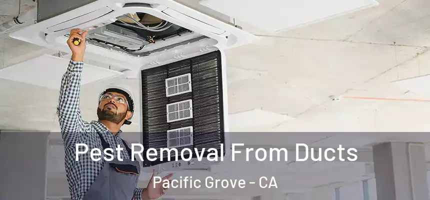 Pest Removal From Ducts Pacific Grove - CA