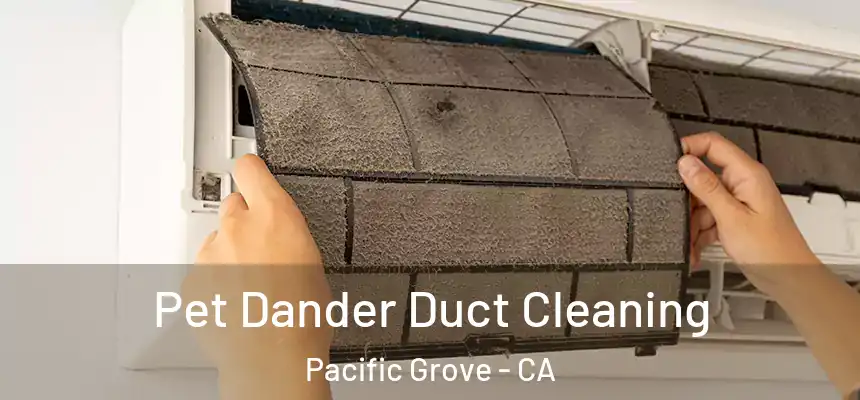Pet Dander Duct Cleaning Pacific Grove - CA