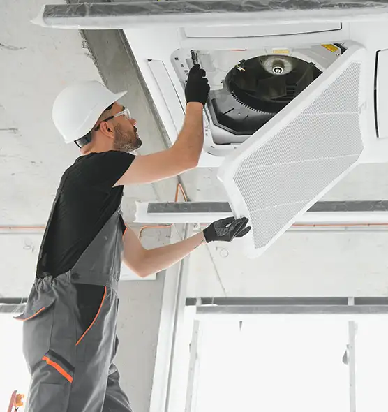 About Air Duct Rodent Removal in Pacific Grove, CA