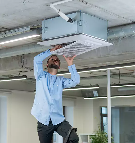 Advanced Rodent Droppings In Vents in Pacific Grove, CA