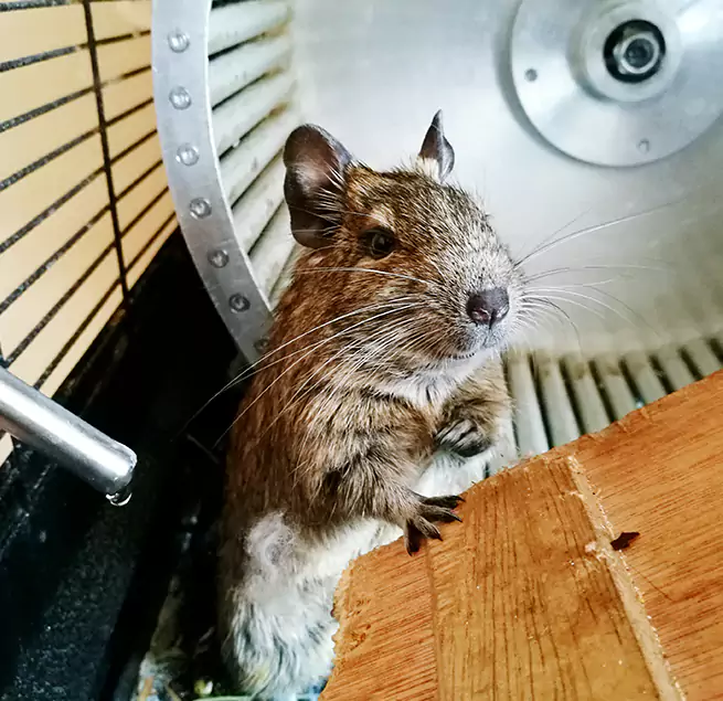 Why Homeowners & Businesses Trust Us Pacific Grove, CA