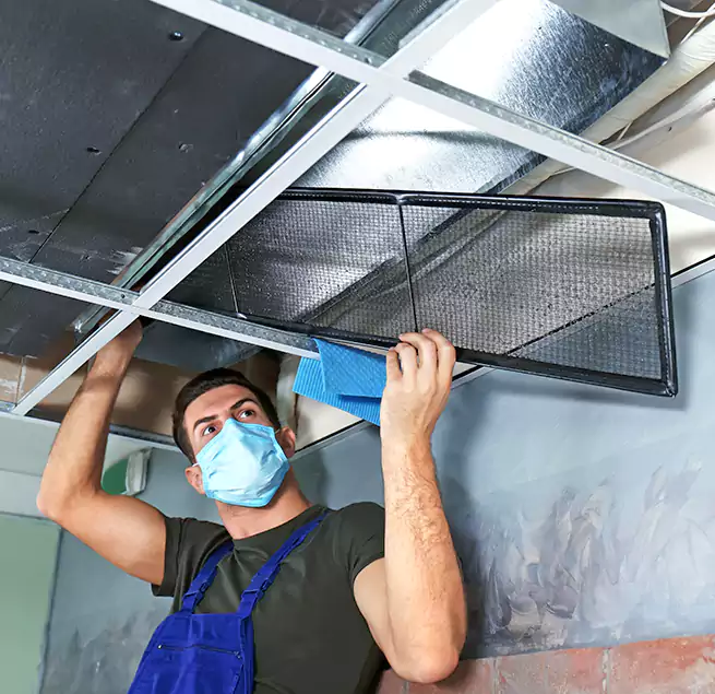 Why Homeowners Businesses Trust Us in Pacific Grove, CA